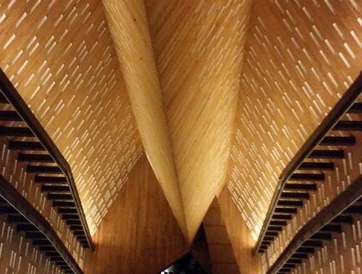 16711772_10154725419521117_6423602001582189507_n